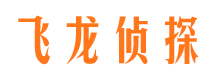 金家庄侦探公司